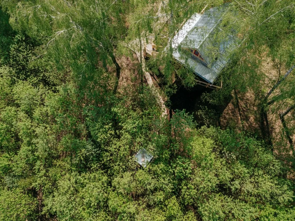 Лапочкино гнездо Дома на деревьях, домики в Тульской области — фото 18