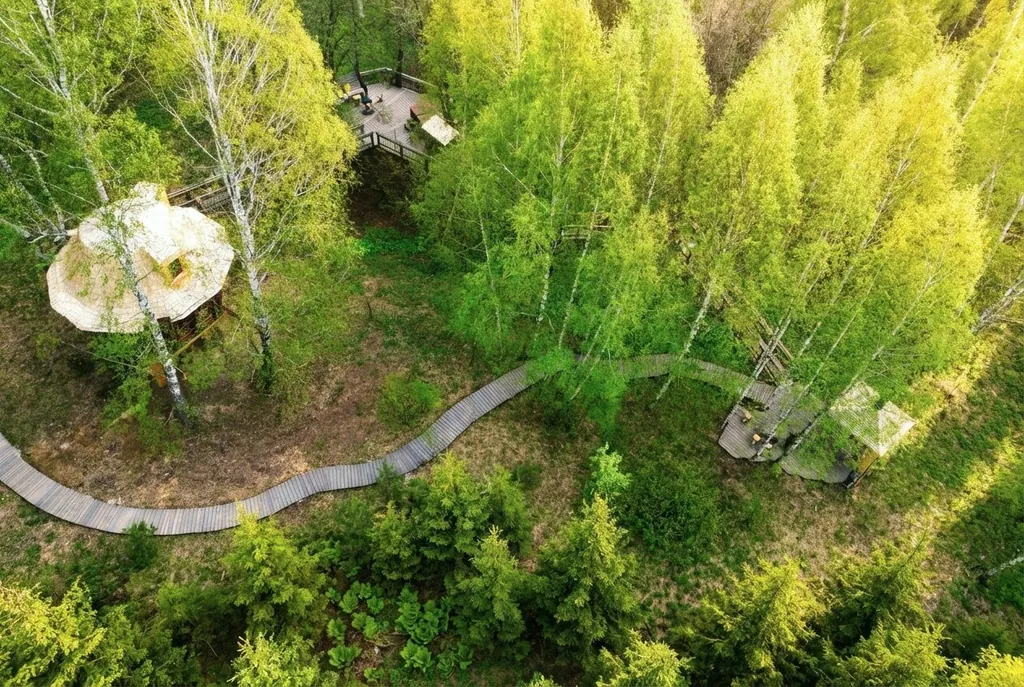 Лапочкино гнездо Дома на деревьях, домики в Тульской области — фото 32