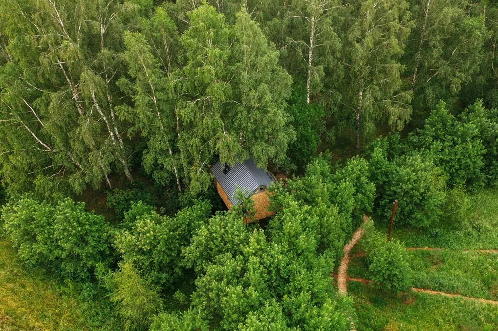 Лапочкино гнездо Дома на деревьях, домики в Тульской области — фото 36